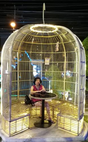 20191128_224040 (Small)