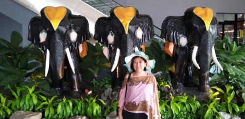 20191130_131843 (Small)